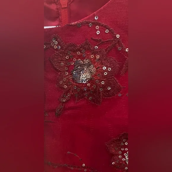 Chasing fireflies Red Silver sequin holiday dress 14